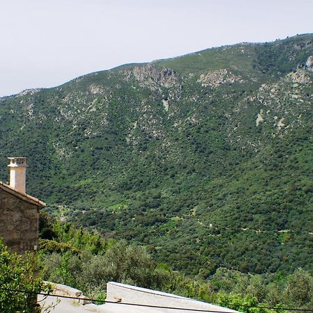 Studio Le Petit Nid D'Amour Meuble Tourisme 3 Etoiles Poggio Santa-Lucia-di-Tallano Esterno foto