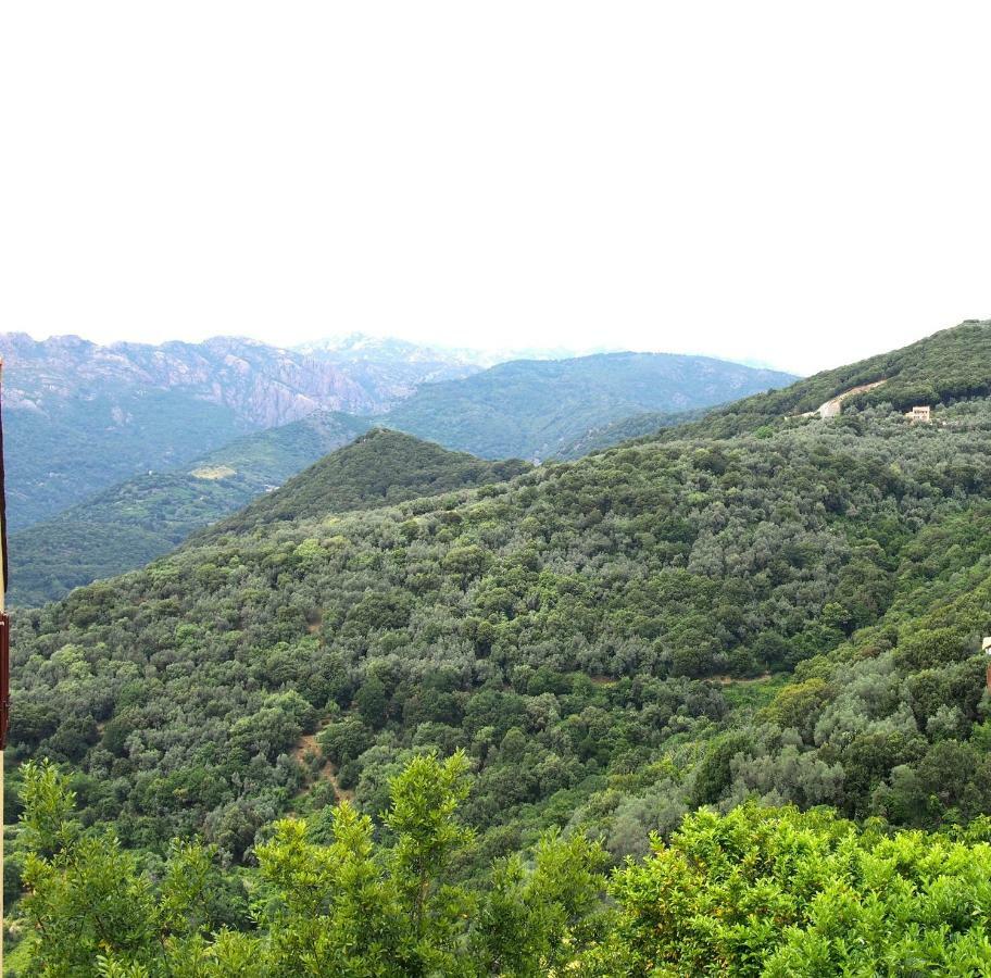 Studio Le Petit Nid D'Amour Meuble Tourisme 3 Etoiles Poggio Santa-Lucia-di-Tallano Esterno foto