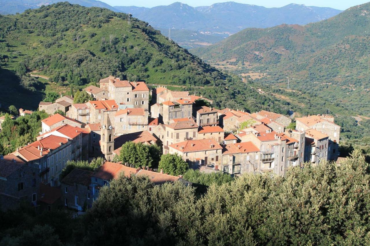Studio Le Petit Nid D'Amour Meuble Tourisme 3 Etoiles Poggio Santa-Lucia-di-Tallano Esterno foto