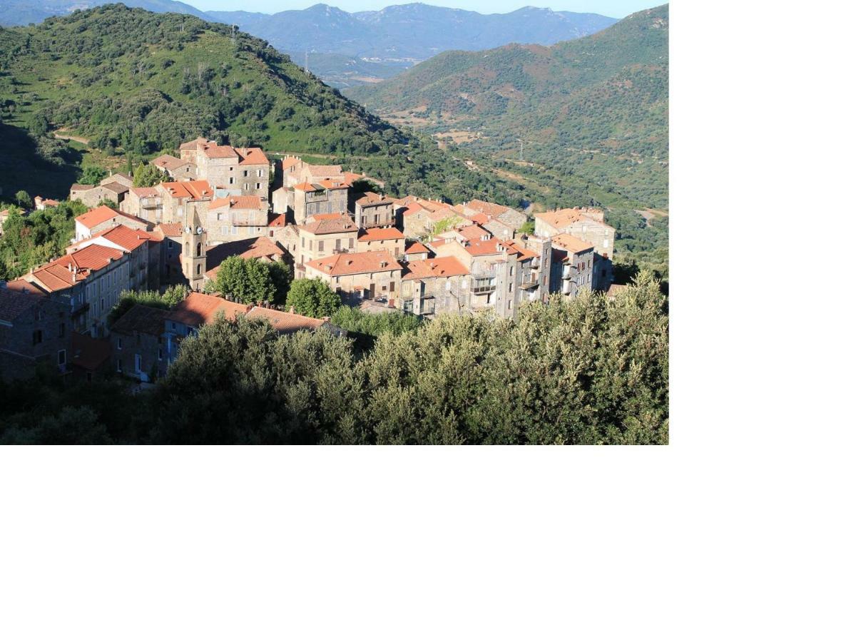 Studio Le Petit Nid D'Amour Meuble Tourisme 3 Etoiles Poggio Santa-Lucia-di-Tallano Esterno foto